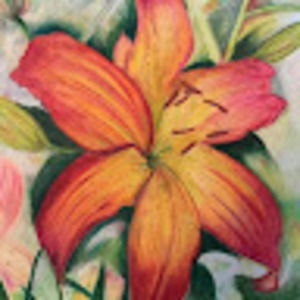 Meet your Posher, Cady baez